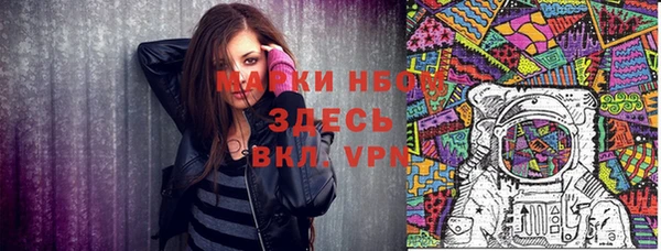 прущие грибы Семилуки