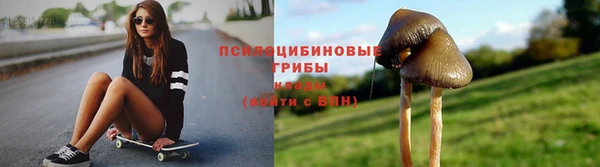 ГАЛЛЮЦИНОГЕННЫЕ ГРИБЫ Нефтегорск