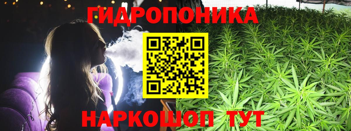 Бошки марихуана White Widow Санкт-Петербург